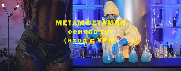 сатива Новозыбков