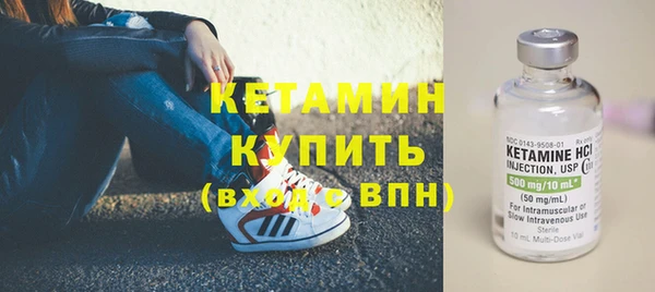 сатива Новозыбков
