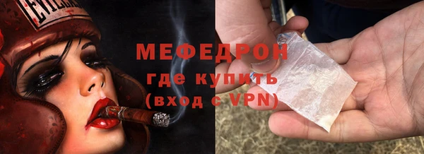 сатива Новозыбков