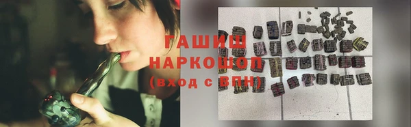 сатива Новозыбков