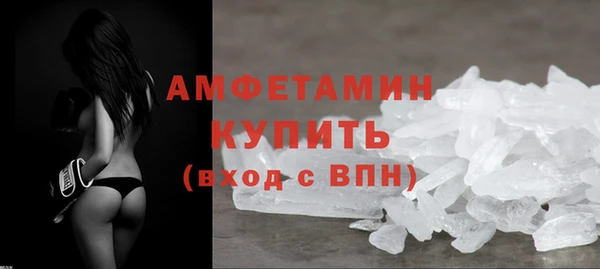 сатива Новозыбков