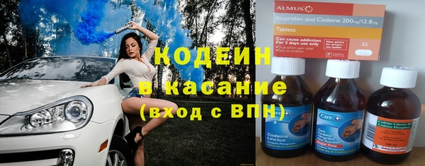 сатива Новозыбков