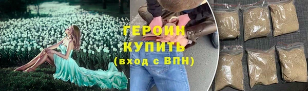 сатива Новозыбков