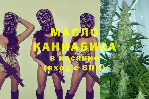 сатива Новозыбков