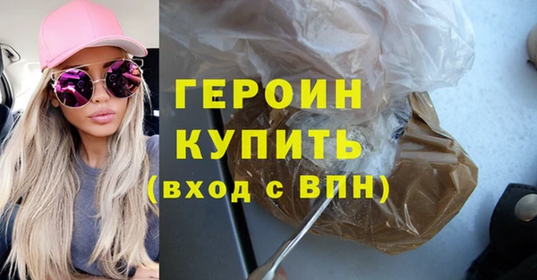 сатива Новозыбков