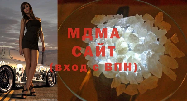 сатива Новозыбков