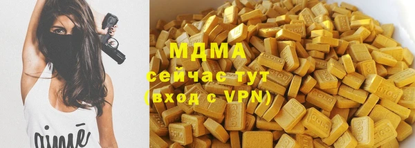 сатива Новозыбков