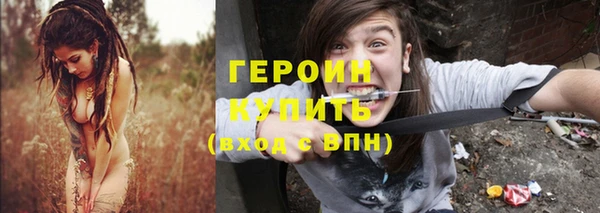 сатива Новозыбков