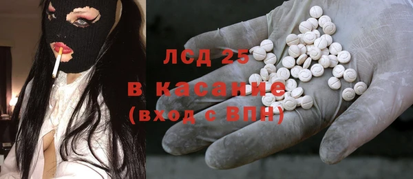 сатива Новозыбков