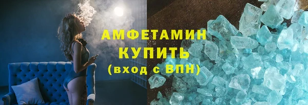 сатива Новозыбков