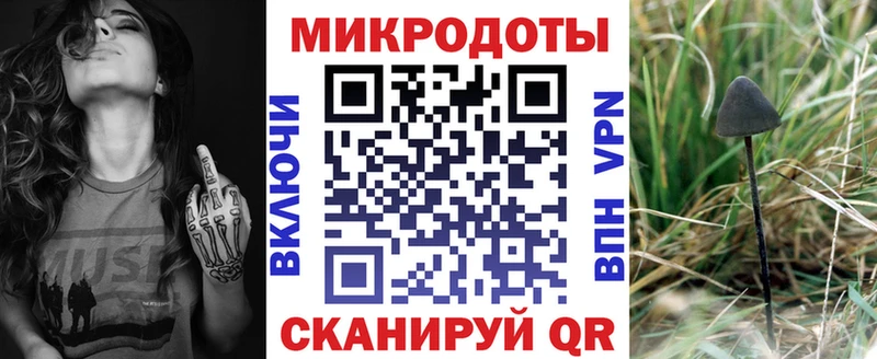 OMG как зайти  Берёзовский  Псилоцибиновые грибы Cubensis 